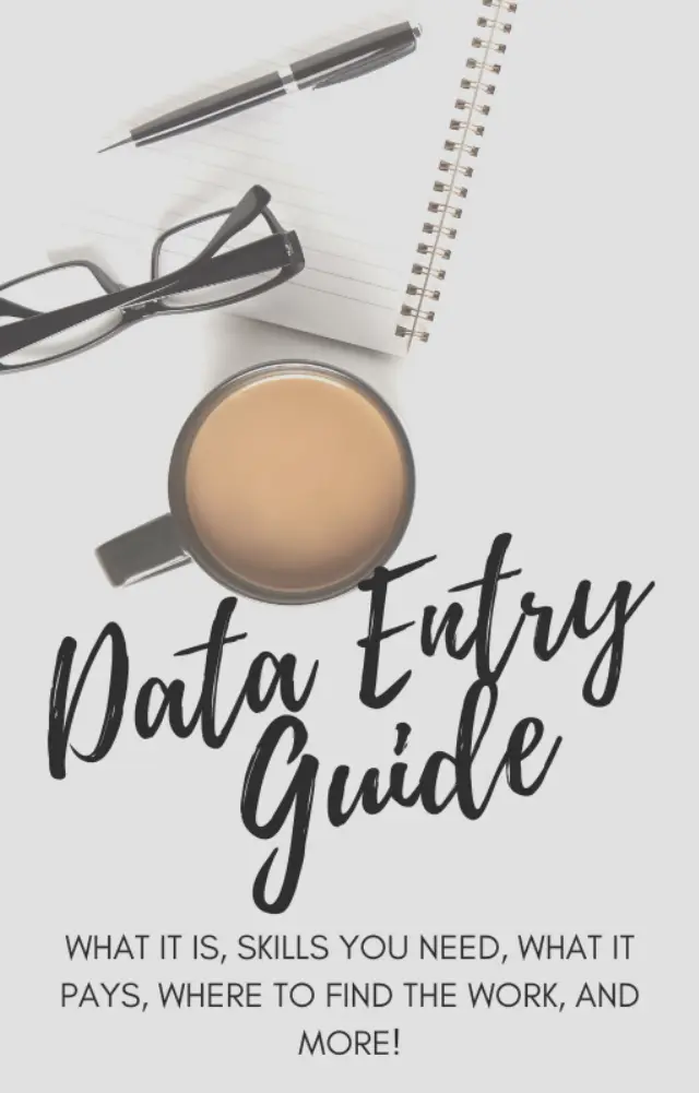 Data Entry Guide ebook cover