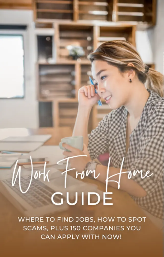 Work From Home Guide ebook cover