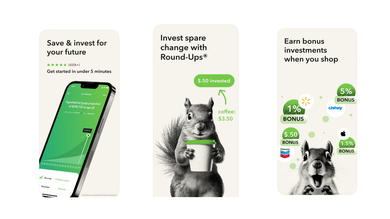 acorns preview