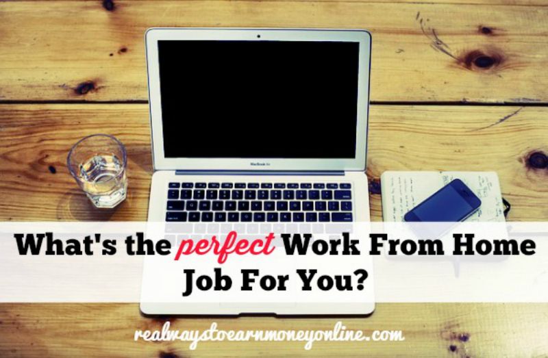 perfect work from home job