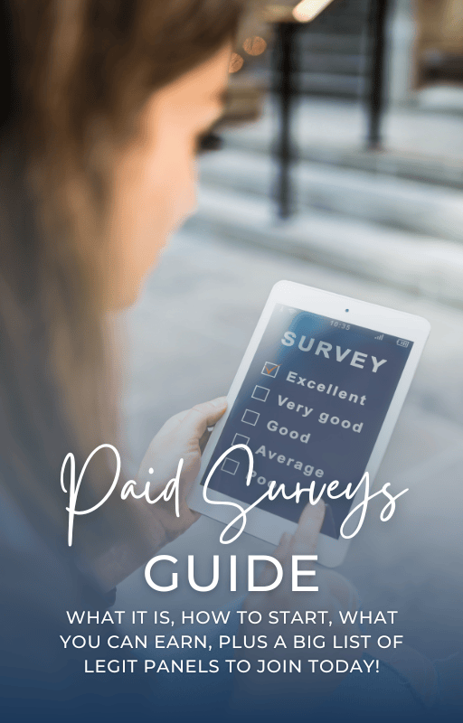 Paid Surveys E-book Cover
