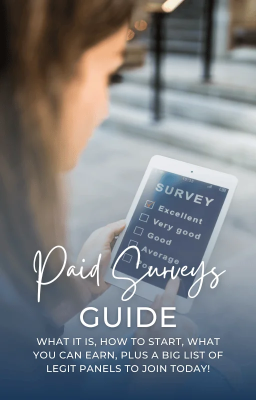 Paid Surveys E-book Cover