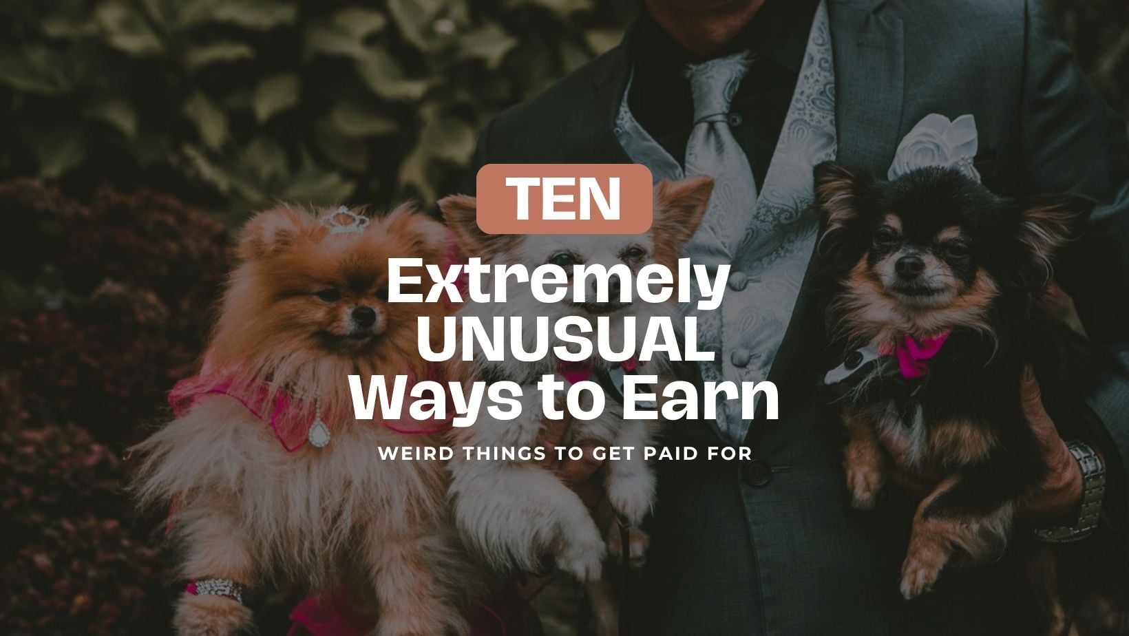 10 Unusual Ways to Make Money